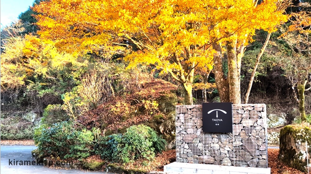 TAOYA箱根 レビュー,ブログ,オールインクルーシブ,安い,予約,過ごし方